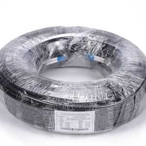 SM double core Optical Patch Coro 100M